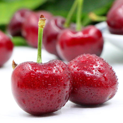 大连美早大樱桃 商品图3