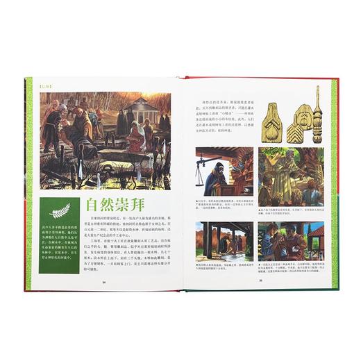 《高卢时代》从凯尔特人入侵到罗马人占领 10-100岁 历史绘本 人类的生活 读小库 商品图3