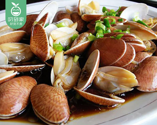 净化野生油蛤（500g±30/份 约80个） 商品图1