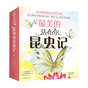 美的法布尔昆虫记 3-6岁 有趣的昆虫故事 不一样的科普绘本 配有观察实验 昆虫档案 12册全