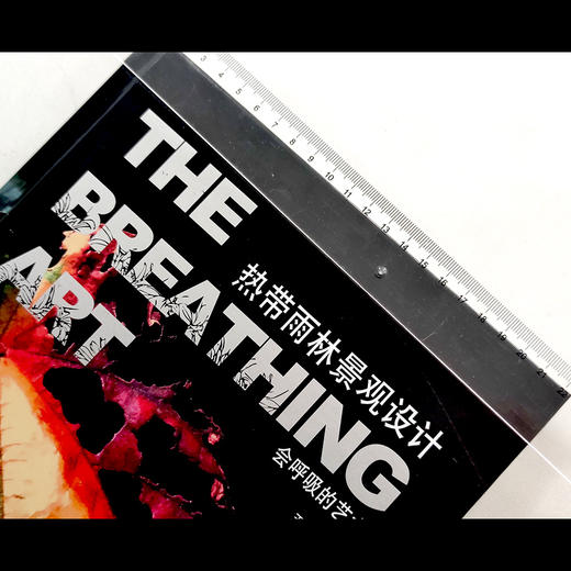 热带雨林景观设计：会呼吸的艺术  王超主编 世界知名造景师 五年磨一剑 商品图2