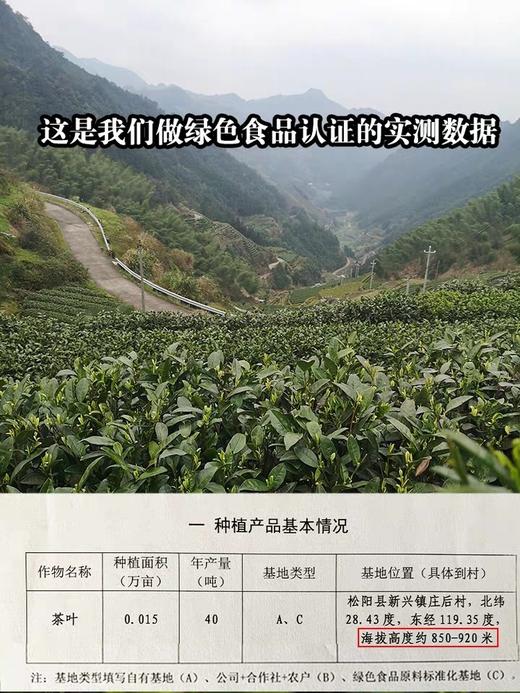 2024高山云雾绿茶 特级（散装茶） 商品图3