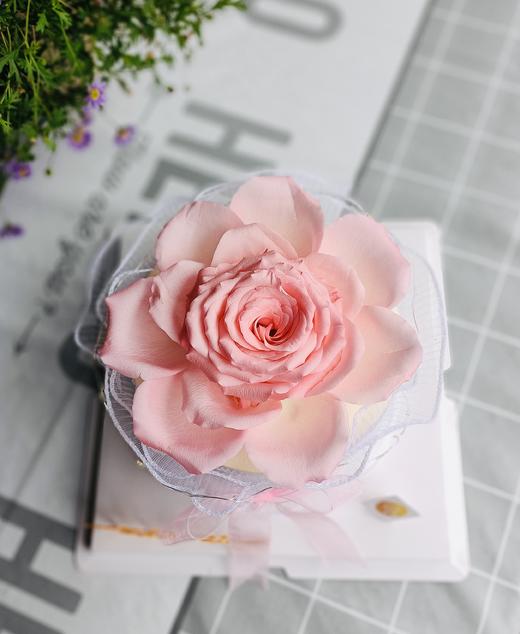 粉色浪漫~鲜花闪灯蛋糕 商品图0