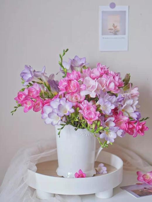 小苍兰【愿许一人以偏爱，尽此生之慷慨】简小姐精选 祖玛珑同款香气  纯洁无邪 小苍兰/香雪兰1束 下单48小时发货 商品图0