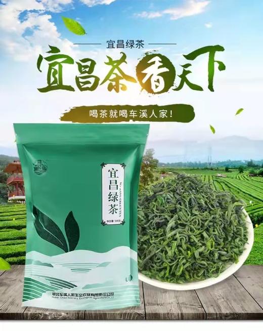 【宜昌助农馆】车溪人家  高山绿茶  500g/袋 商品图3
