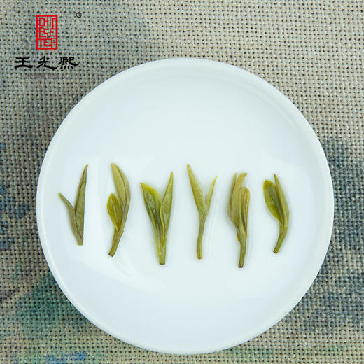 【新茶现货】绿茶2025新茶黄山王光熙松萝茶浓香型松萝茶开园茶20g小金罐 商品图5