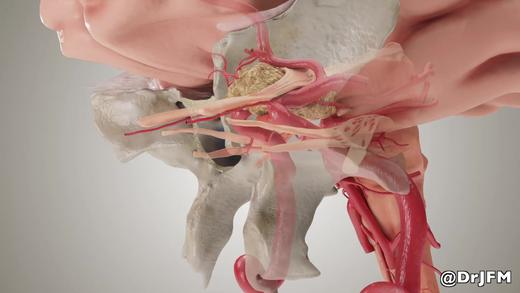 2020/Top10.内镜下鞍结节脑膜瘤模拟手术P1 商品图0