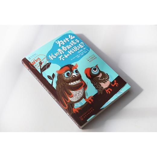 为什么我的青春期孩子不和我说话? 9~18岁青春期男女孩性教育叛逆 商品图3