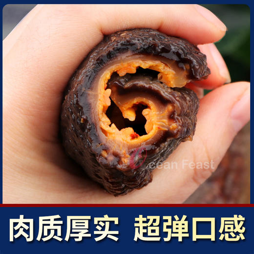 Ocean feast海洋盛宴小精灵级北极海参55头+（小金标）（一般贸易） 商品图3