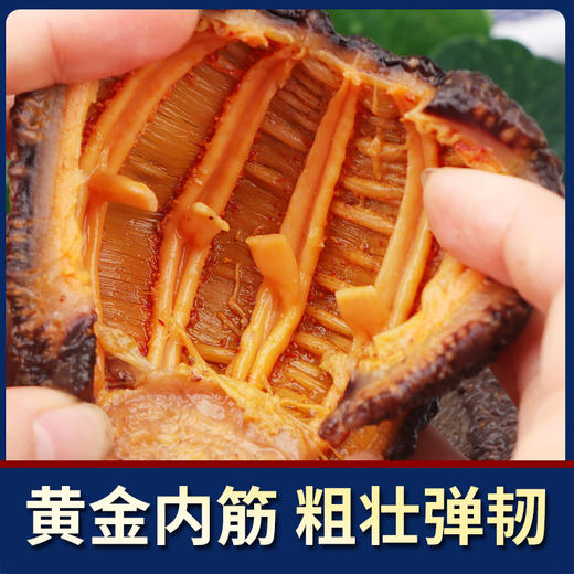 Ocean feast海洋盛宴小精灵级北极海参55头+（小金标）（一般贸易） 商品图2