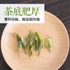 2024高山云雾绿茶 特级（散装茶） 商品缩略图2