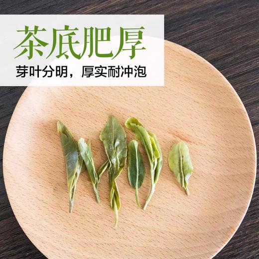 2024高山云雾绿茶 特级（散装茶） 商品图2