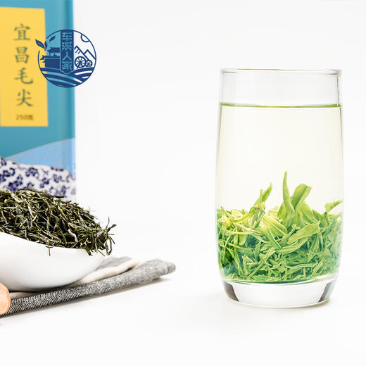 【宜昌助农馆】宜昌毛尖茶特级 250g/袋  车溪人家 商品图2