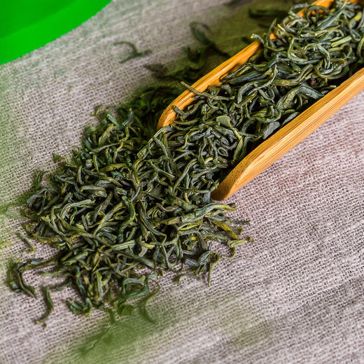 【宜昌助农馆】圣天绿茶  明前春茶  250g袋装 商品图2