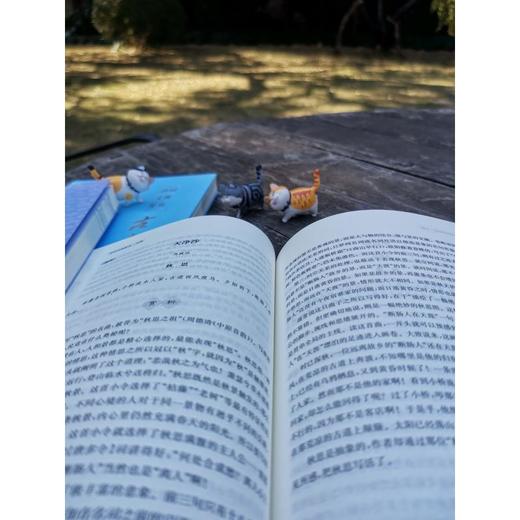 诗词文曲鉴赏 元曲 商品图2