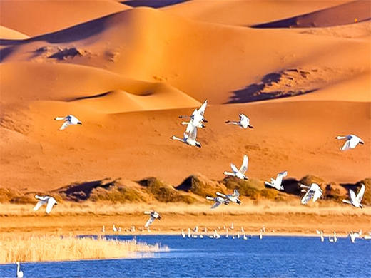 五一3日【腾格里沙漠】远征腾格里-五湖连穿-百人穿越队（火车团-含露营装备） 商品图7