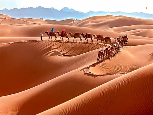 五一3日【腾格里沙漠】远征腾格里-五湖连穿-百人穿越队（火车团-含露营装备） 商品图8