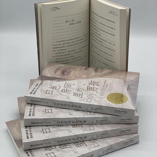 白色房间里的男孩   六年级正版现货速发|名师推荐|小学生课外阅读6年级 商品图2