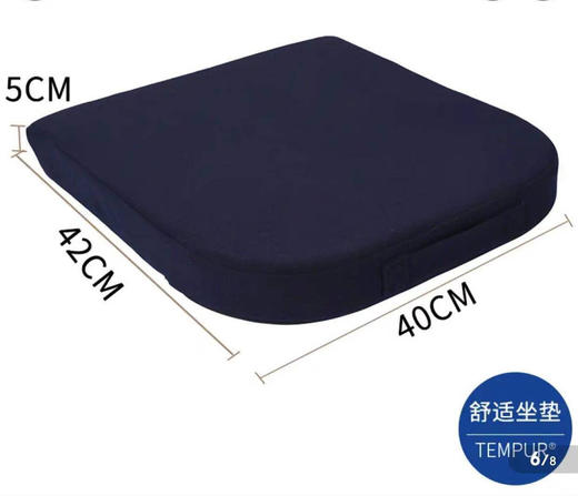 泰普尔 零压力坐垫 商品图1