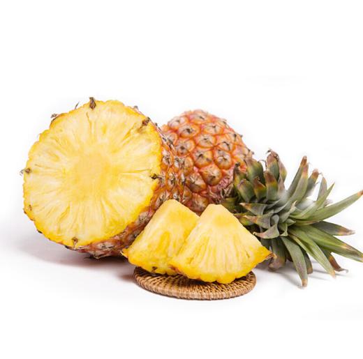 天地人凤梨99元斤