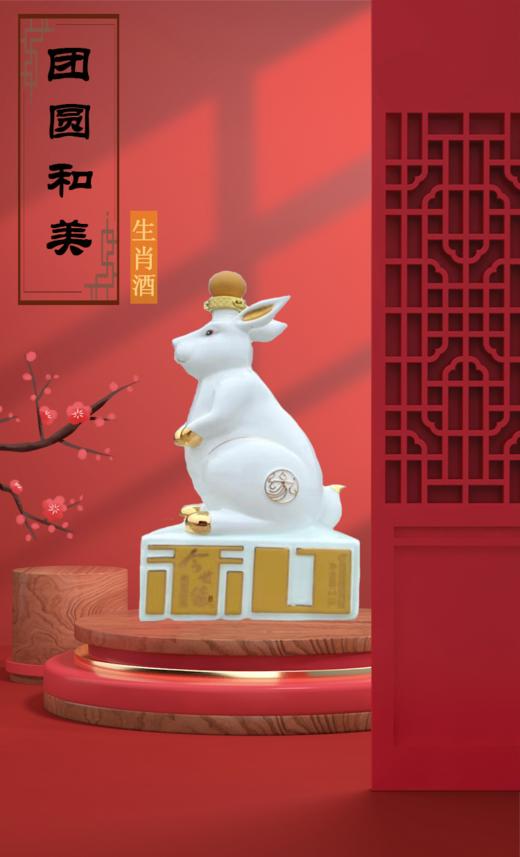 52度2.5L今世缘十二生肖和兔珍藏纪念酒 商品图0