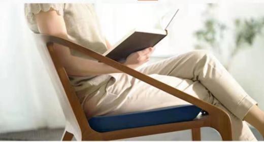 泰普尔 零压力坐垫 商品图2