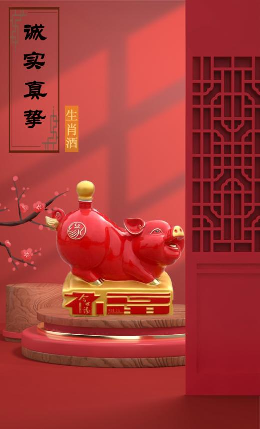 52度2.5L今世缘十二生肖福猪珍藏纪念酒 商品图0