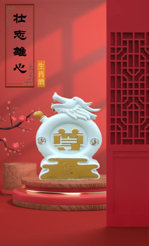 52度2.5L今世缘十二生肖尊龙珍藏纪念酒 商品图0