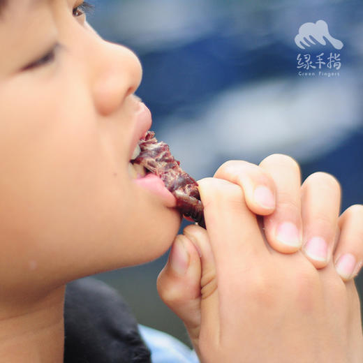 生态牛肉干 | 合作生产*Eco-beef jerky | Copruduction 商品图2