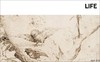 Bosch: Masters of Art / 博斯：艺术大师系列 商品缩略图4