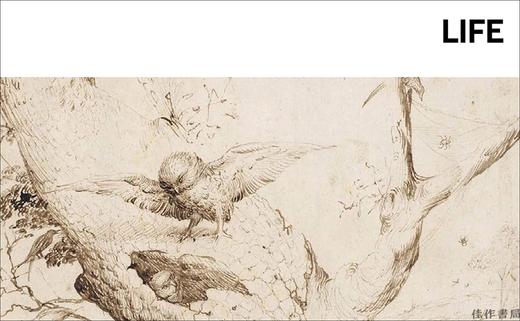 Bosch: Masters of Art / 博斯：艺术大师系列 商品图4