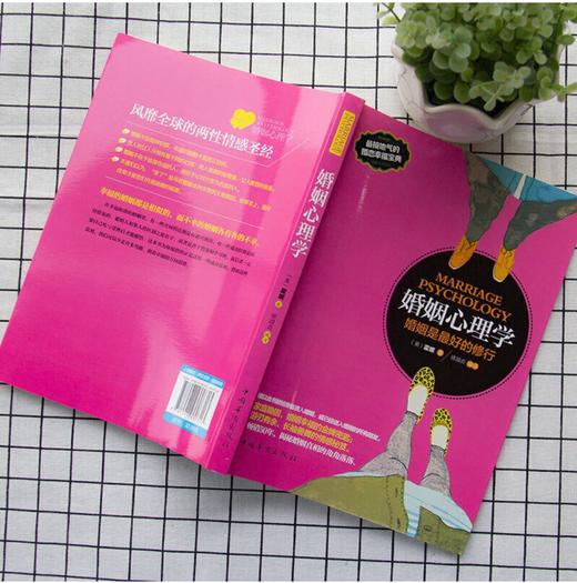 婚姻心理学：婚姻是最好的修行 商品图2