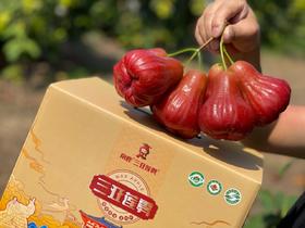 南鹿1号有机莲雾3斤装