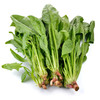 【蔬】菠菜 商品缩略图0