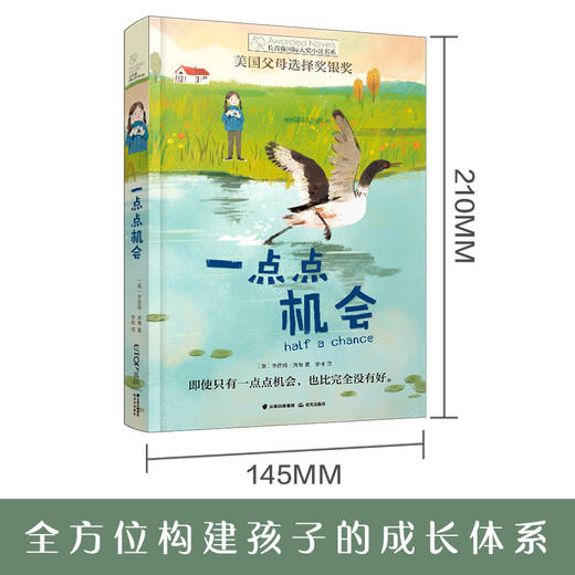 一点点机会 商品图2