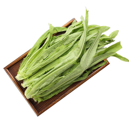 【蔬】油麦菜一颗约200g 商品图0