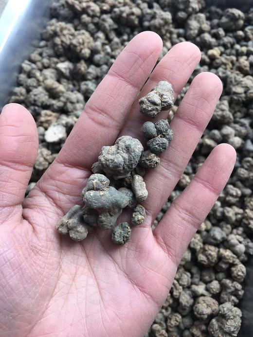 夏天无 商品图5