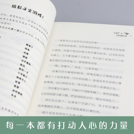 一点点机会 商品图1