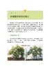彩图版柑橘整形修剪七日通 商品缩略图2