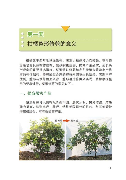 彩图版柑橘整形修剪七日通 商品图2