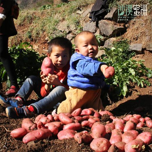 【云南红皮土豆】外皮红艳艳 掰开金灿灿 沙面兼具 粉糯清甜 合适蒸 炖 煸 炒 商品图5