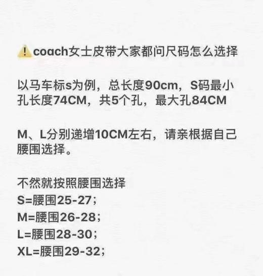 525包邮‼️ Coach新款Ferragamo菲拉格慕同款 商品图7