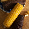 糯玉米 真有机 非转 黑玉米富含花青素 糯糯的 有一种淡淡的巧克力味道 真空装 包邮|百里食 商品缩略图2