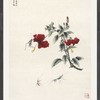 【定制书画】于非闇《春日杜鹃图》纸本 镜片镶画框 成品 馆藏书画Gao仿复制艺术品（付款后28天内发货，顺丰快递请当场拆箱验收） 商品缩略图1