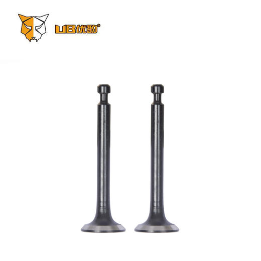 139气门 商品图0