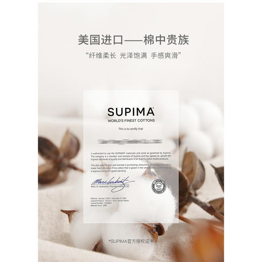 【初棉】丝光棉t恤女短袖 黑科技液氨纯色显瘦V领短袖t恤女打底体恤 商品图2