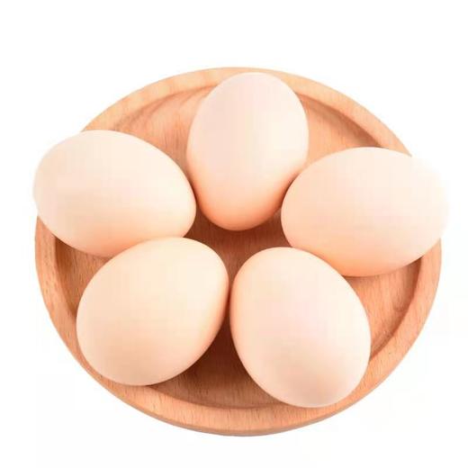 芦花鸡鸡蛋 商品图4