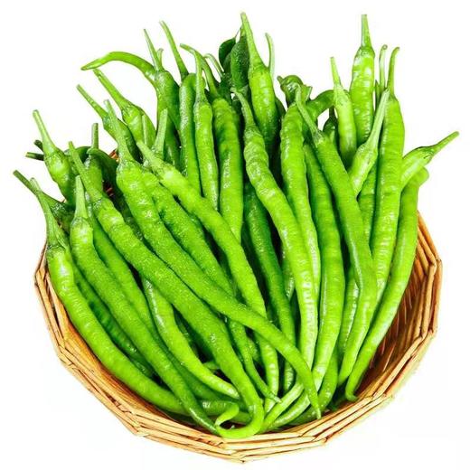 【蔬】青线椒 一份约100g 商品图0