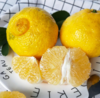 【团购特惠】怀化黄金贡柚，清甜可口，有桔子的香甜和柚子的清爽~，越放越好吃！ 商品缩略图0