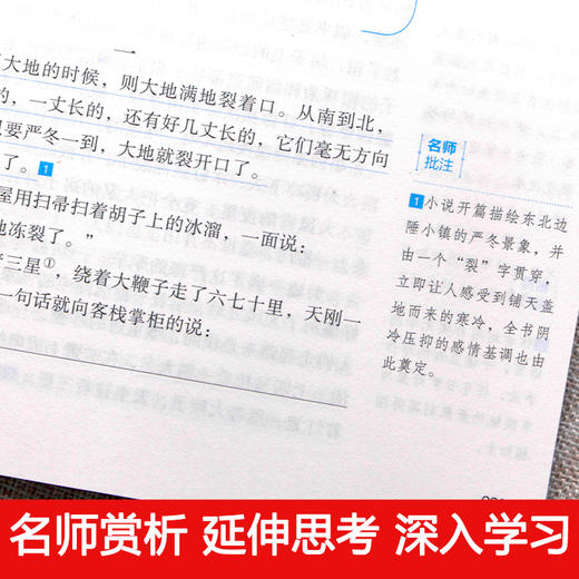 城南旧事和呼兰河传萧红著正版五年级下册下学期必读课外书包邮青少年版 林海音原著完整版祖父的园子 无障碍阅读有批注开明出版社 商品图2